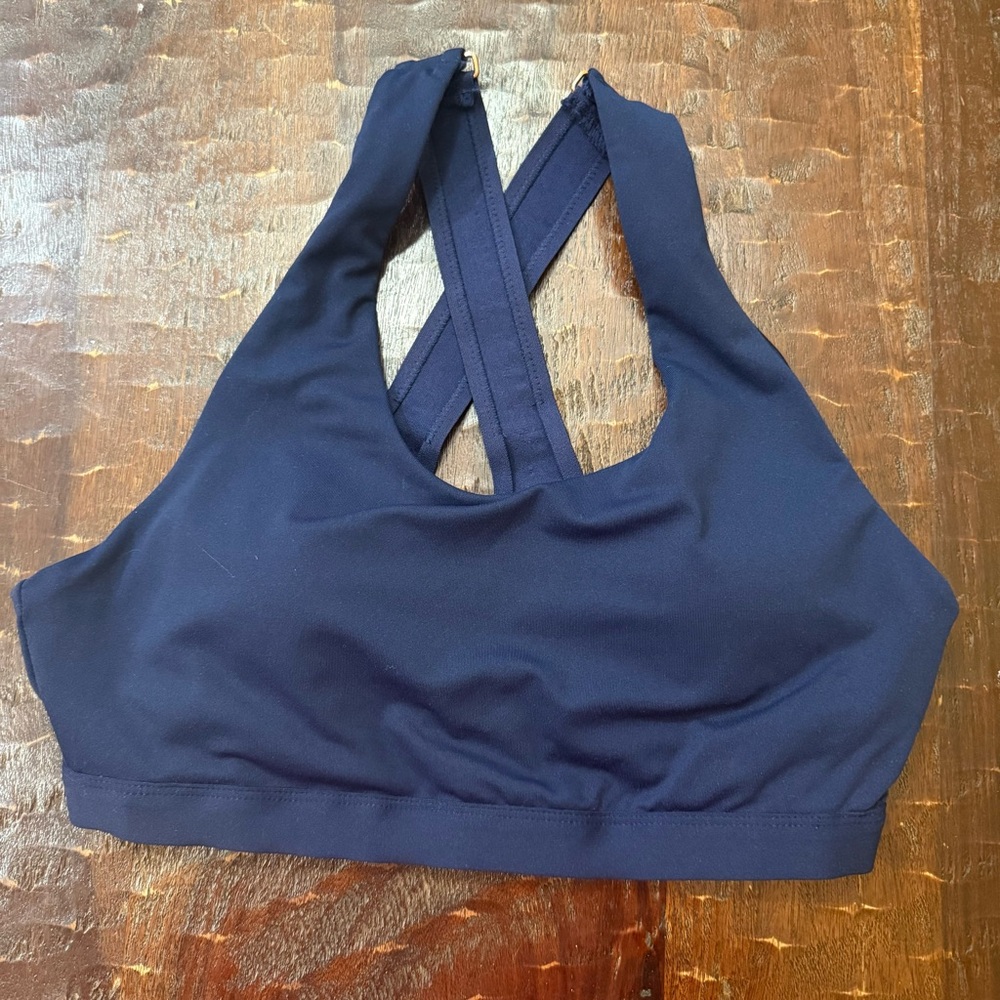 Fabletics Deep Blue Sports Bra